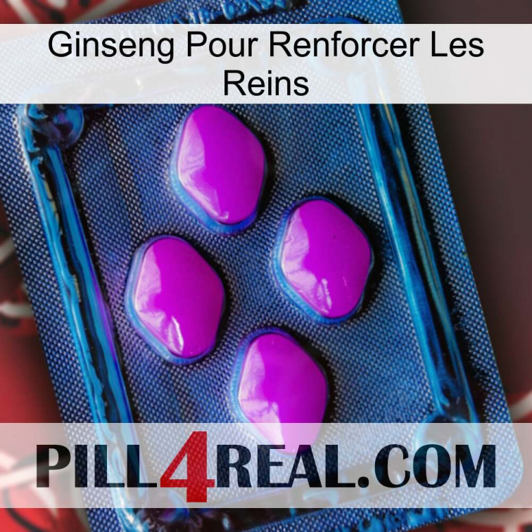 Ginseng For Reinforcing Kidney 04